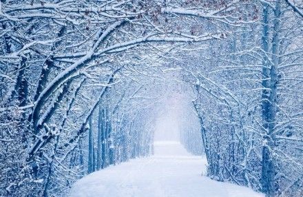 期待一场大雪,埋藏这个秋天我所有的记忆