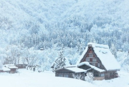 初冬你期待雪了吗唯美雪景图片