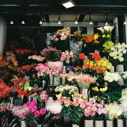 我也想开个花店唯美意境图片