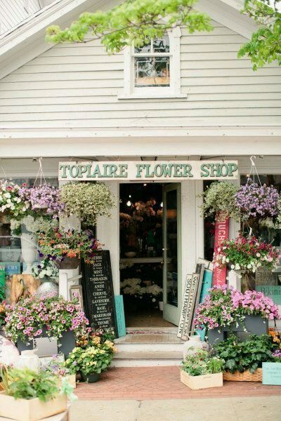 我也想开个花店唯美意境图片