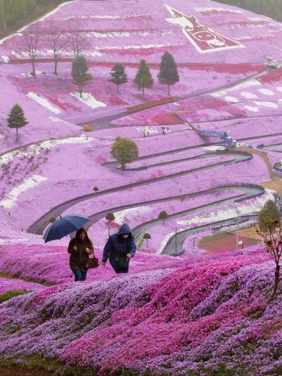 北海道浪漫卡丁车场