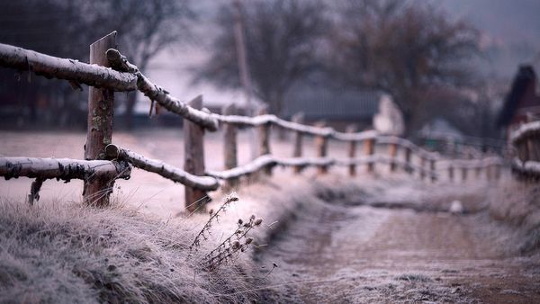 听说对雪许愿可以见到想见的人唯美雪景图片