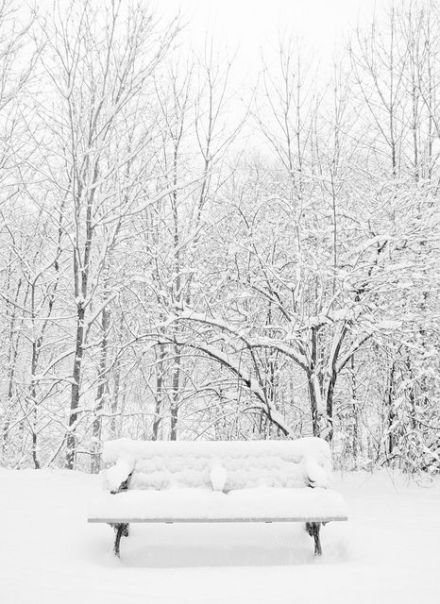 约你陪我一起去看雪唯美雪景图片大全