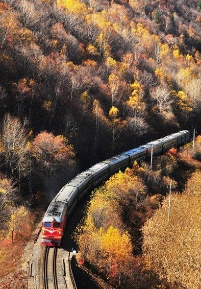 在秋天坐上去往远方的绿皮火车