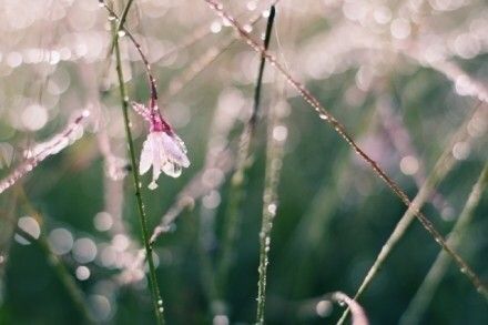 雨在下泪在流