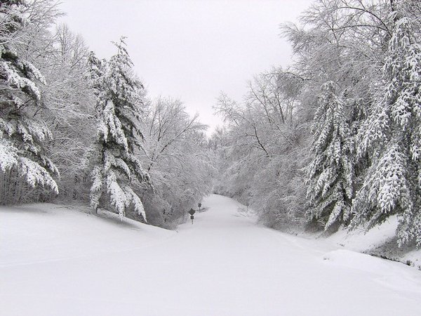 那个说会陪你看雪的人现在在哪唯美雪景图片