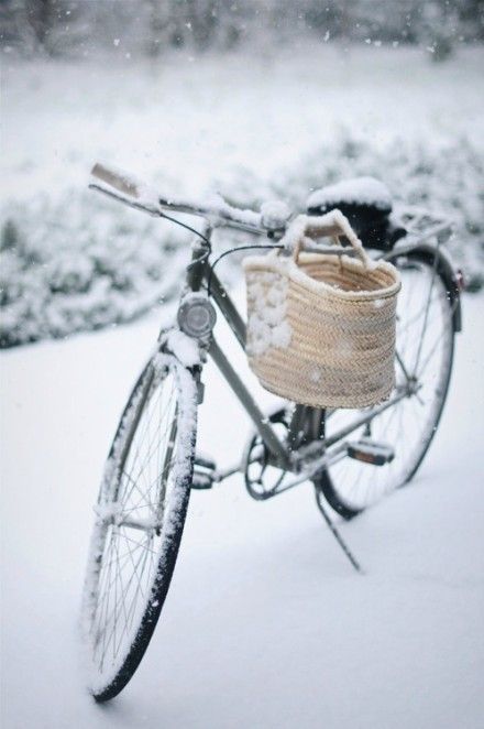 期待一场大雪,埋藏这个秋天我所有的记忆