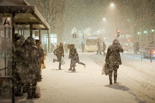 冬天的时候看看雪散散步