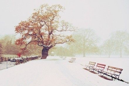 期待一场大雪,埋藏这个秋天我所有的记忆