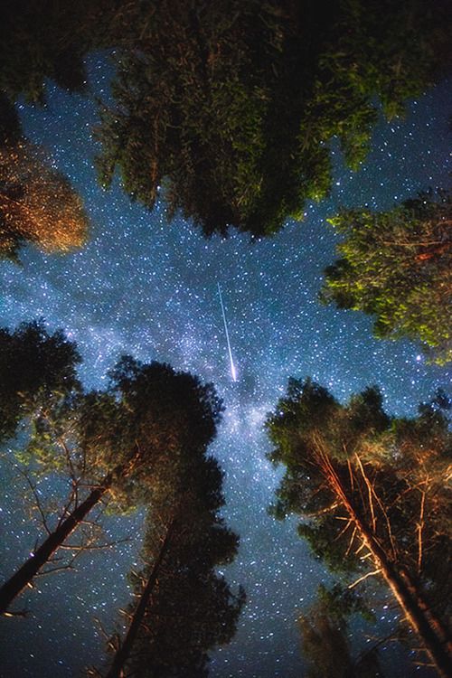 璀璨在夜空的不只是流星图片