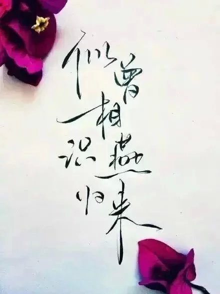 这种字体，美哭了