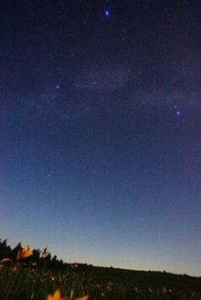  宮坂雅博的璀璨星空图片