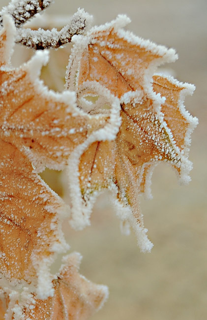 色彩斑斓的雪  唯美风景图图片