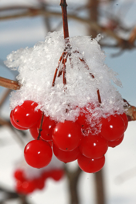 色彩斑斓的雪  唯美风景图图片