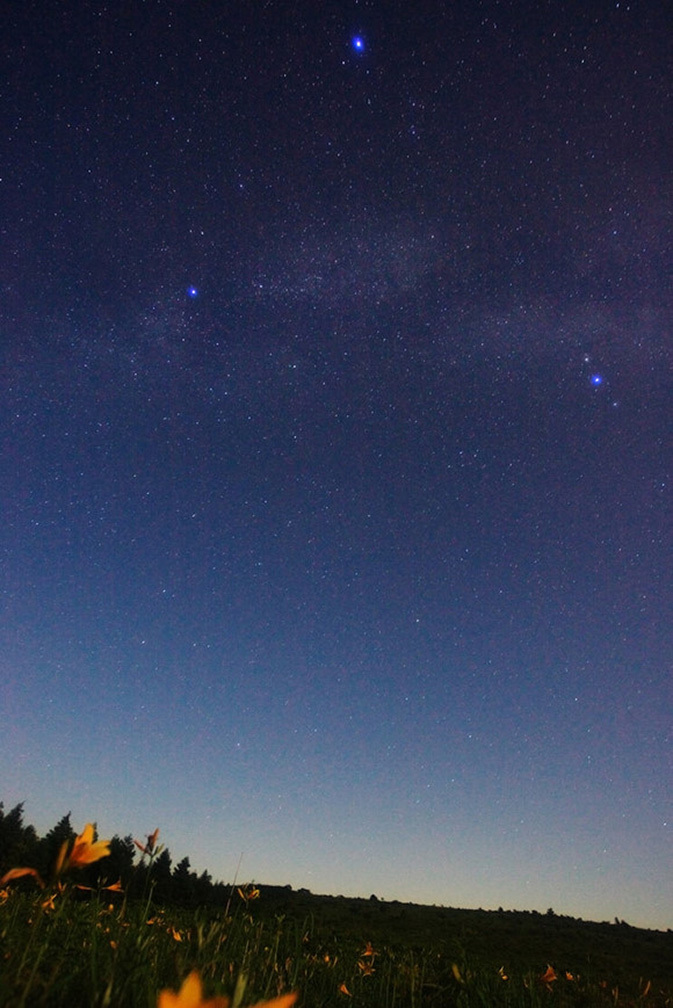 宮坂雅博的璀璨星空图片