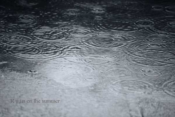 Rain on summer雨后的夏天图片