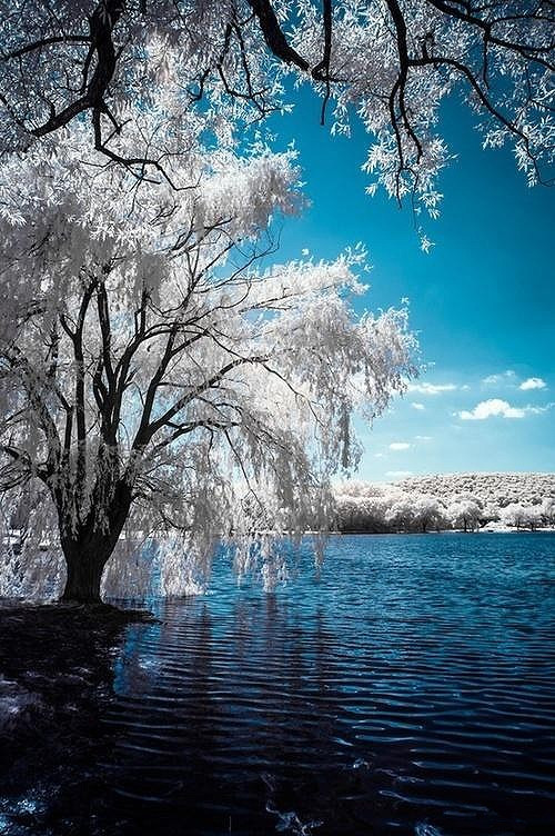 色彩斑斓的雪  唯美风景图图片