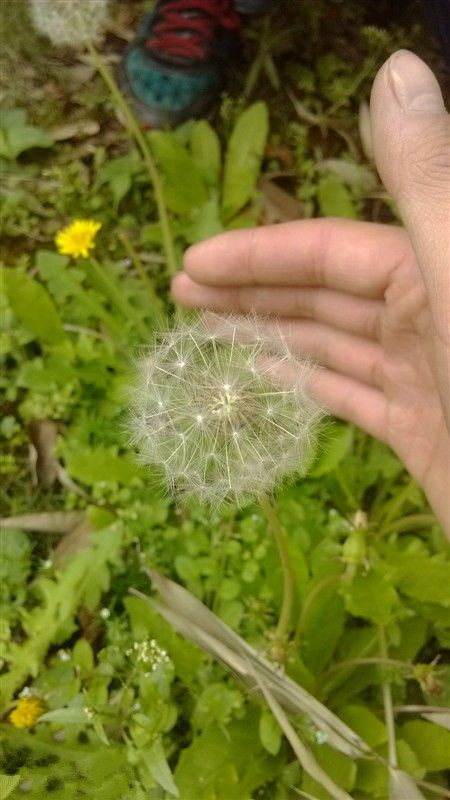 生活更重要的是一种态度图片