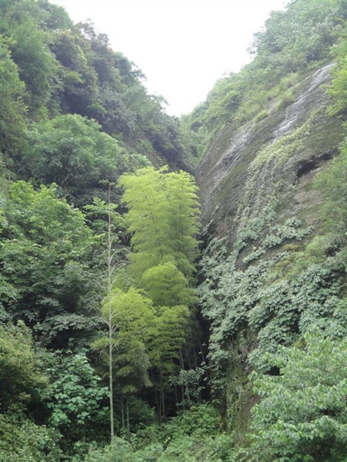 生活更重要的是一种态度图片