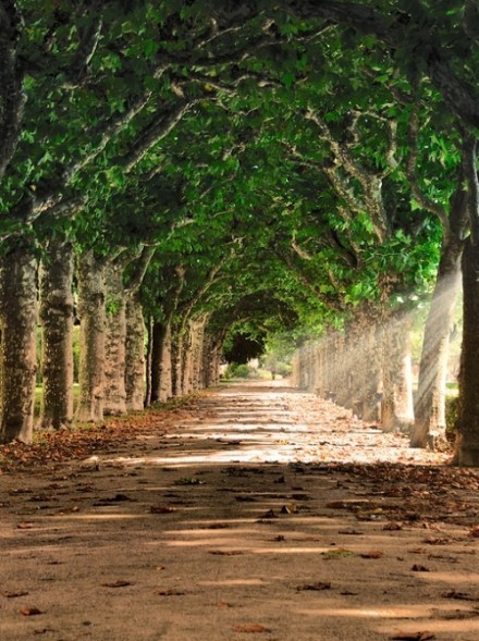 独走的路，是最美的风景。图片