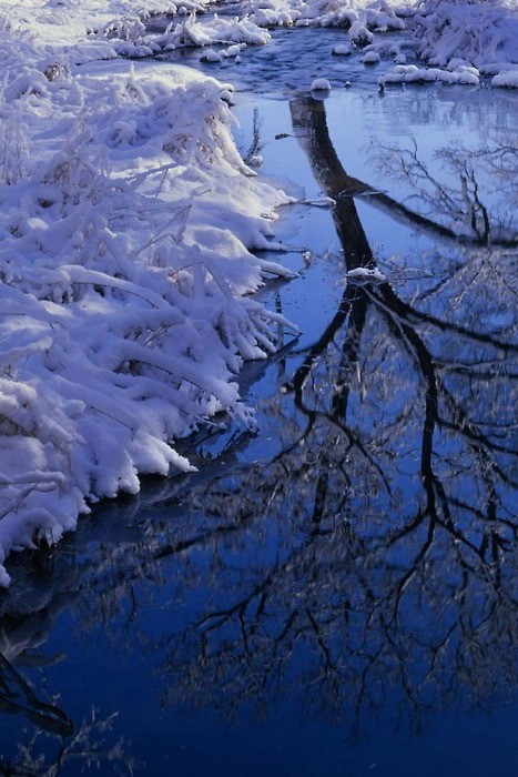 色彩斑斓的雪  唯美风景图图片