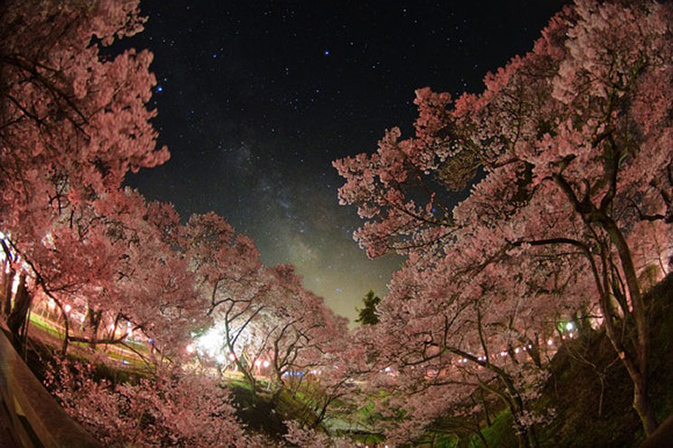 宮坂雅博的璀璨星空图片