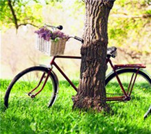  单车——初秋里的寂寞图片