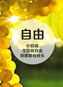  唯美图片心自由行自由    唯美小清新带字