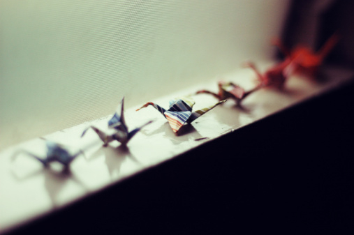 折断翅膀的千纸鹤图片