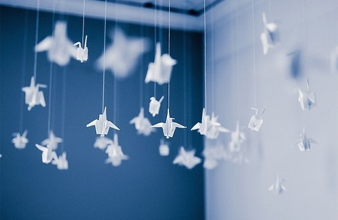 折断翅膀的千纸鹤图片
