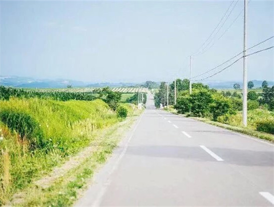 淡淡的北海道味道