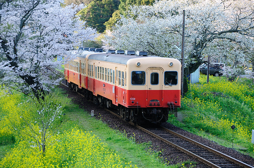 日系小清新：开往春天的列车