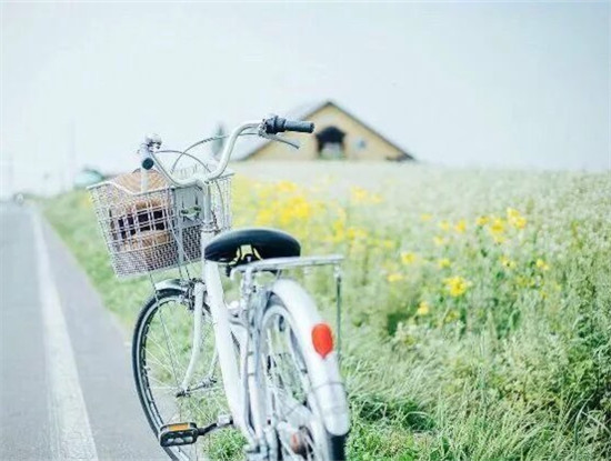 淡淡的北海道味道