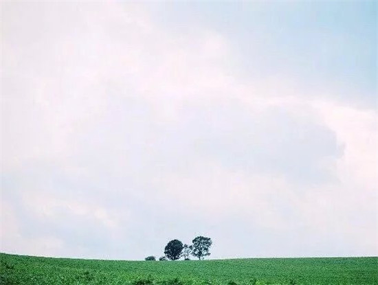 淡淡的北海道味道