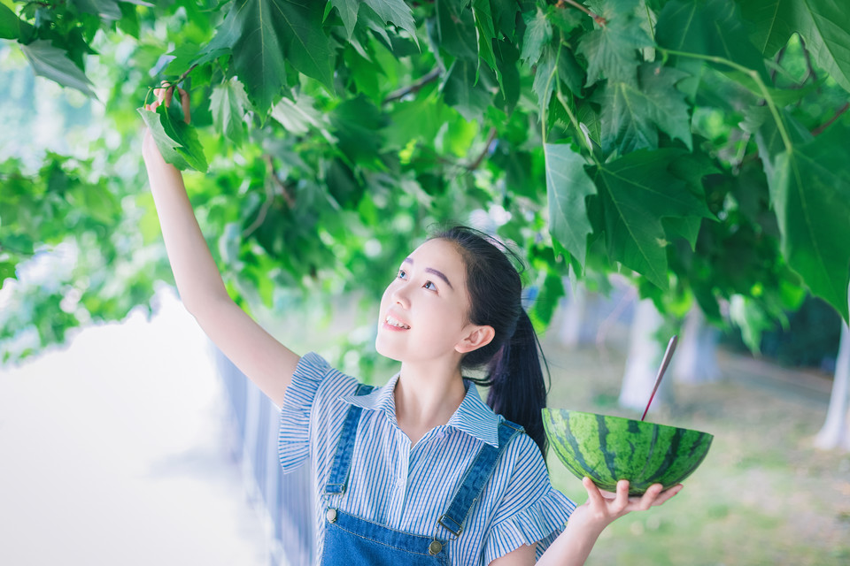 你是我能看到的夏天