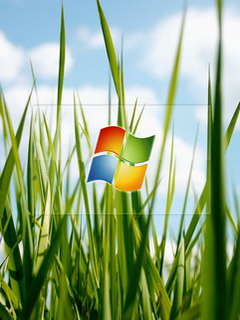 windows系统壁纸移植到手机240x320壁纸