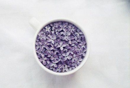 浪漫的紫色小清新图片