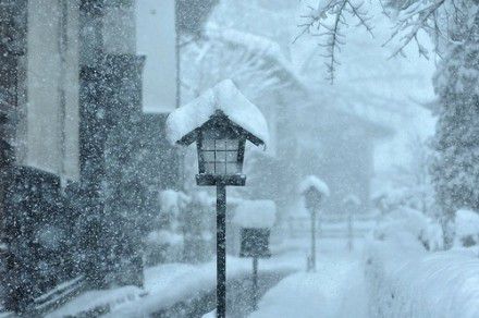 我们一起去看雪小清新图片