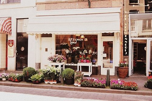 街角温暖的花店