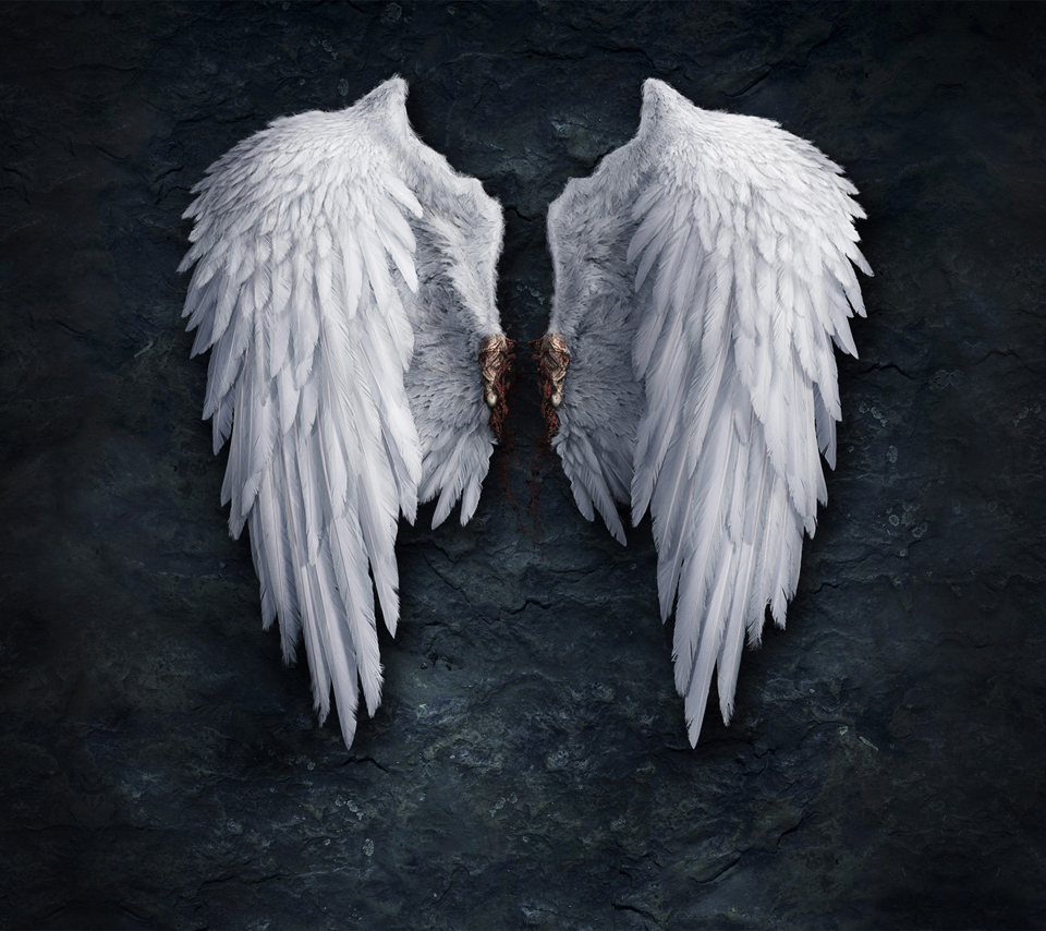 天使的翅膀高清小米壁纸下载960x854