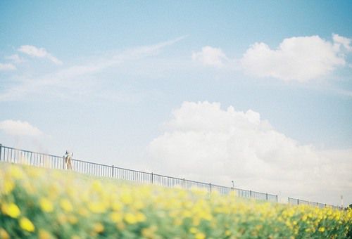 像风一样自由小清新美图