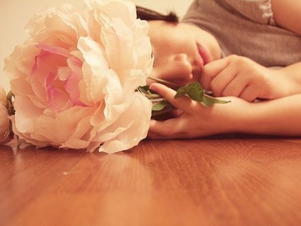 玫瑰成伤花已殇 唯美花朵小清新图片