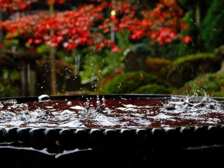 雨中、我为你撑伞唯美小清新图片