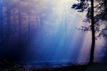  迷雾森林意境阳光唯美lomo素材图集图片