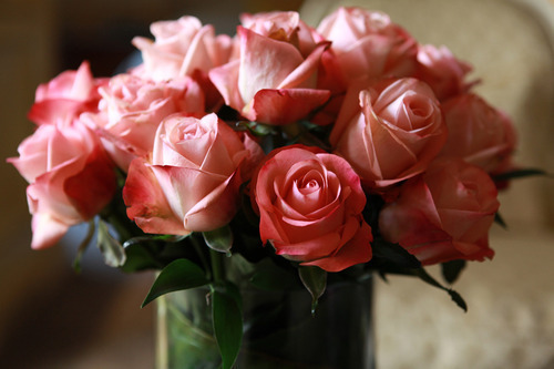 【玫瑰】你说玫瑰很美，美得艳丽。图片