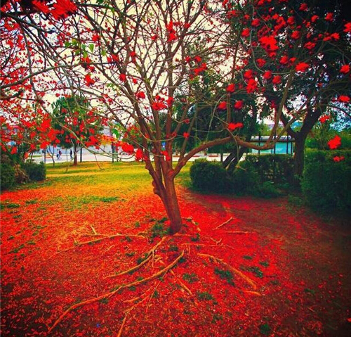 唯美图片沿途的唯美小镇高清意境风景