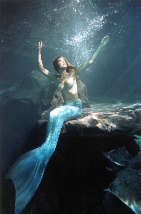 有一种美叫惊心动魄   唯美水下摄影图片