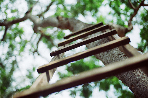 唯美意境森系治愈系风景lomo空间素材图片