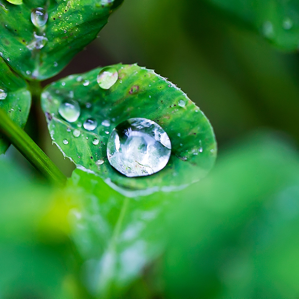 唯美意境伤感雨中美景意境图片