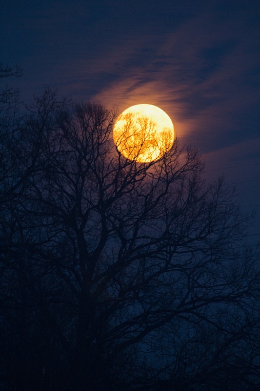 清新月光幽静伤感风景唯美意境图片